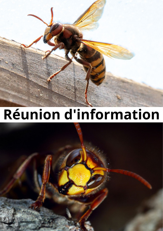 r-union-d-information-2177